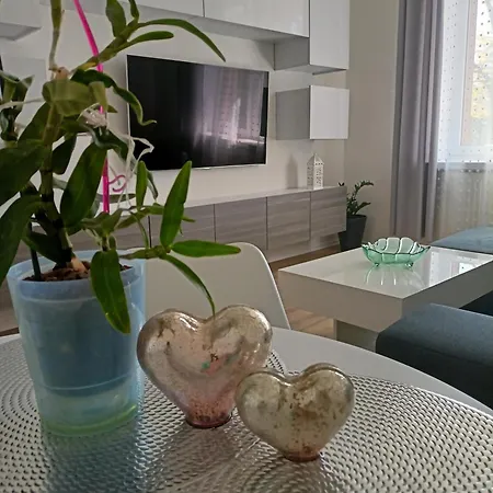 Slowackiego 41 Apartment